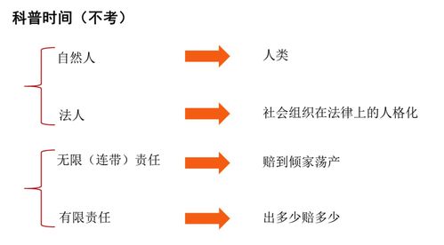 網(wǎng)絡(luò)經(jīng)濟(jì)時(shí)代下的企業(yè)管理轉(zhuǎn)型與創(chuàng)新