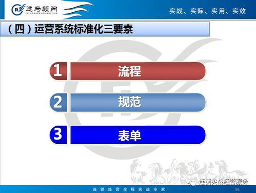 連鎖運(yùn)營(yíng)標(biāo)準(zhǔn)化模塊 企業(yè)管理核心操作指南